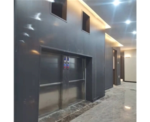 窗口式曳引款传菜电梯 (10)